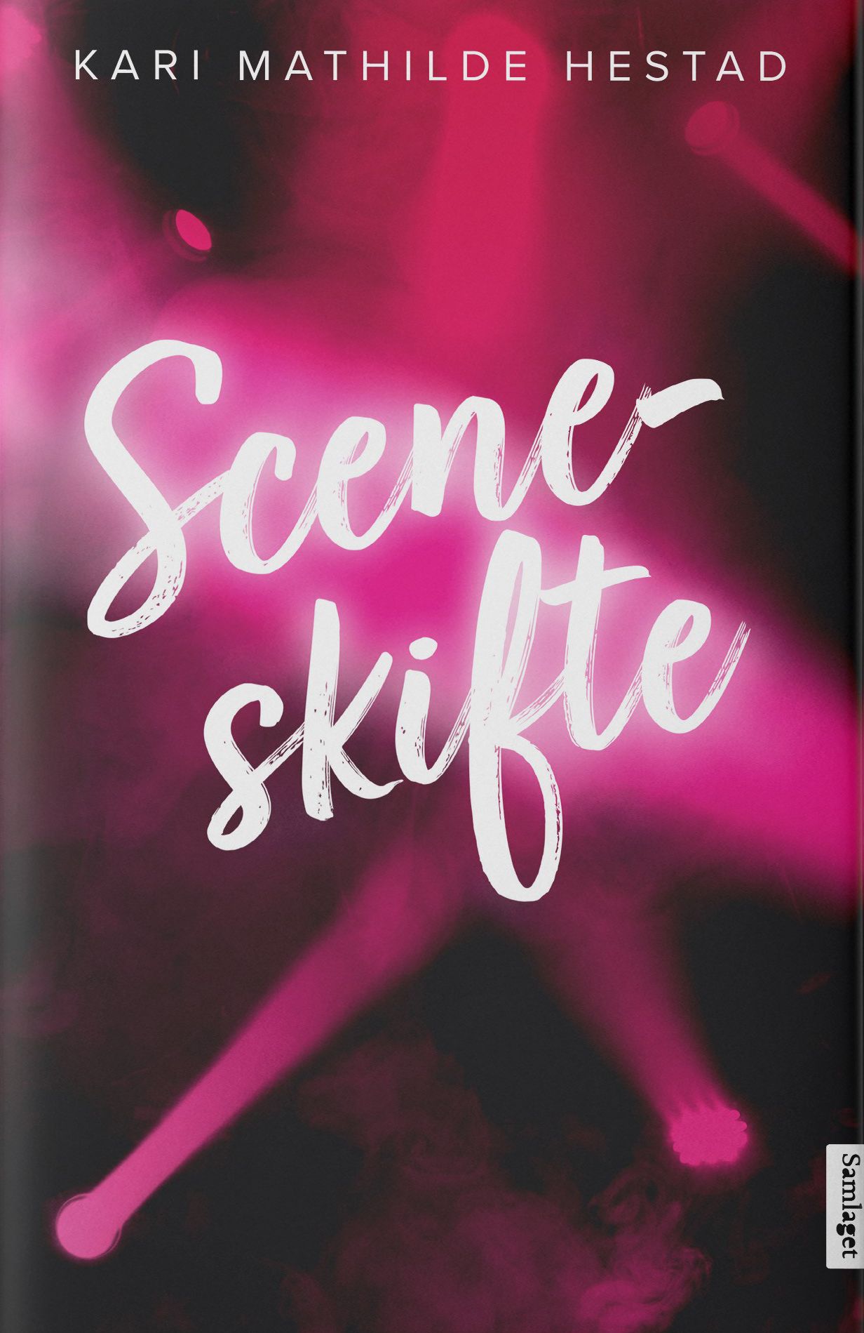 Sceneskifte - roman