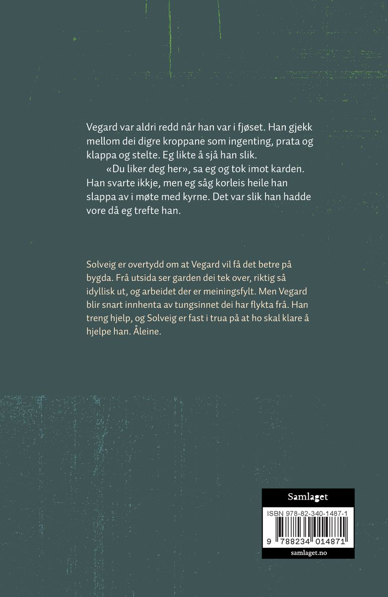 Tynne rivner av lys