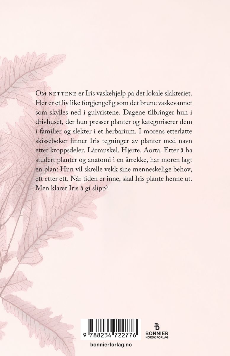 Om dagen hviler vi, om natten jobber vi