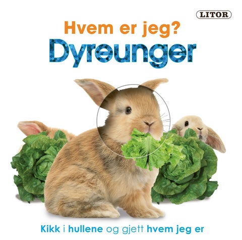 Dyreunger