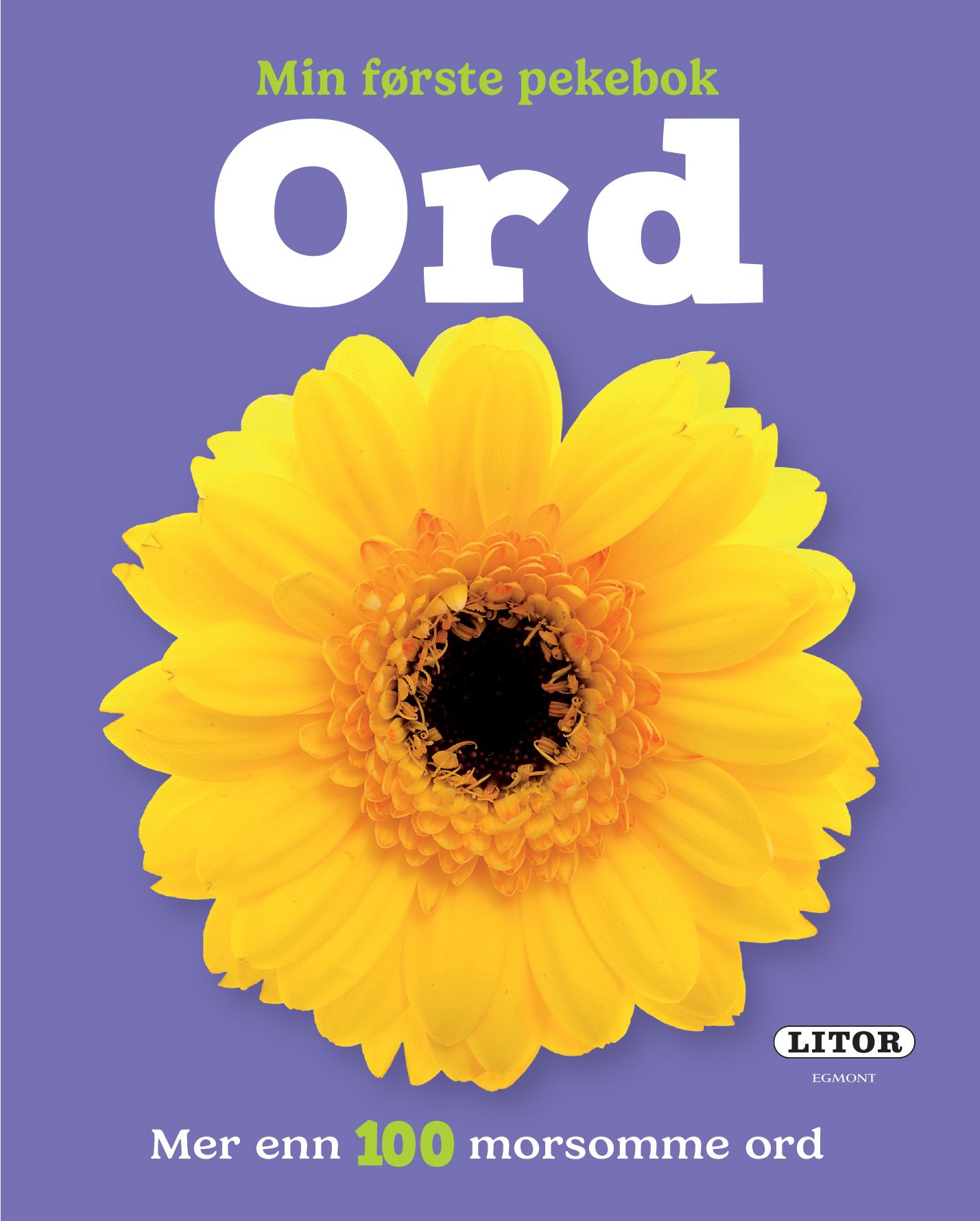 Ord - mer enn 100 morsomme ord