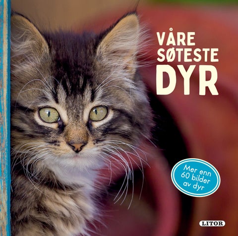 Våre søteste dyr