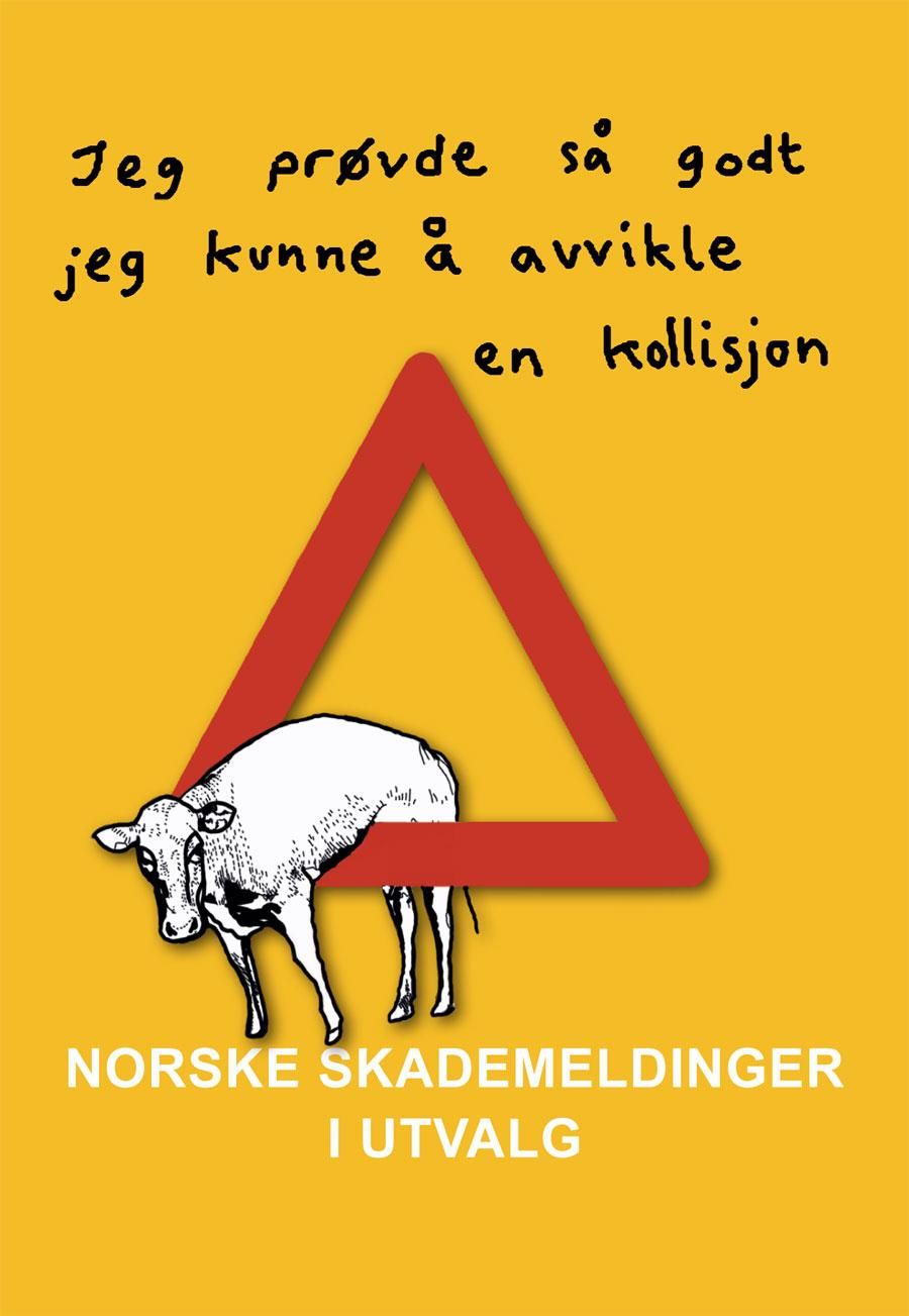Norske skademeldinger i utvalg - "jeg prøvde så godt jeg kunne å avvikle en kollisjon"