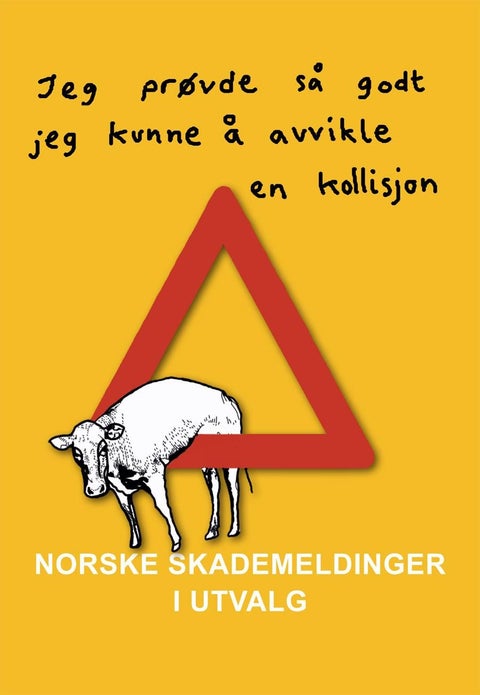 Norske skademeldinger i utvalg - "jeg prøvde så godt jeg kunne å avvikle en kollisjon"