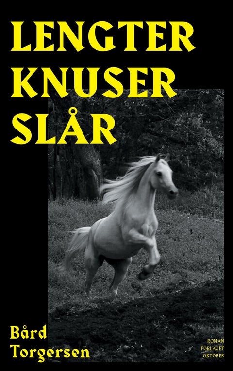 Lengter knuser slår - roman