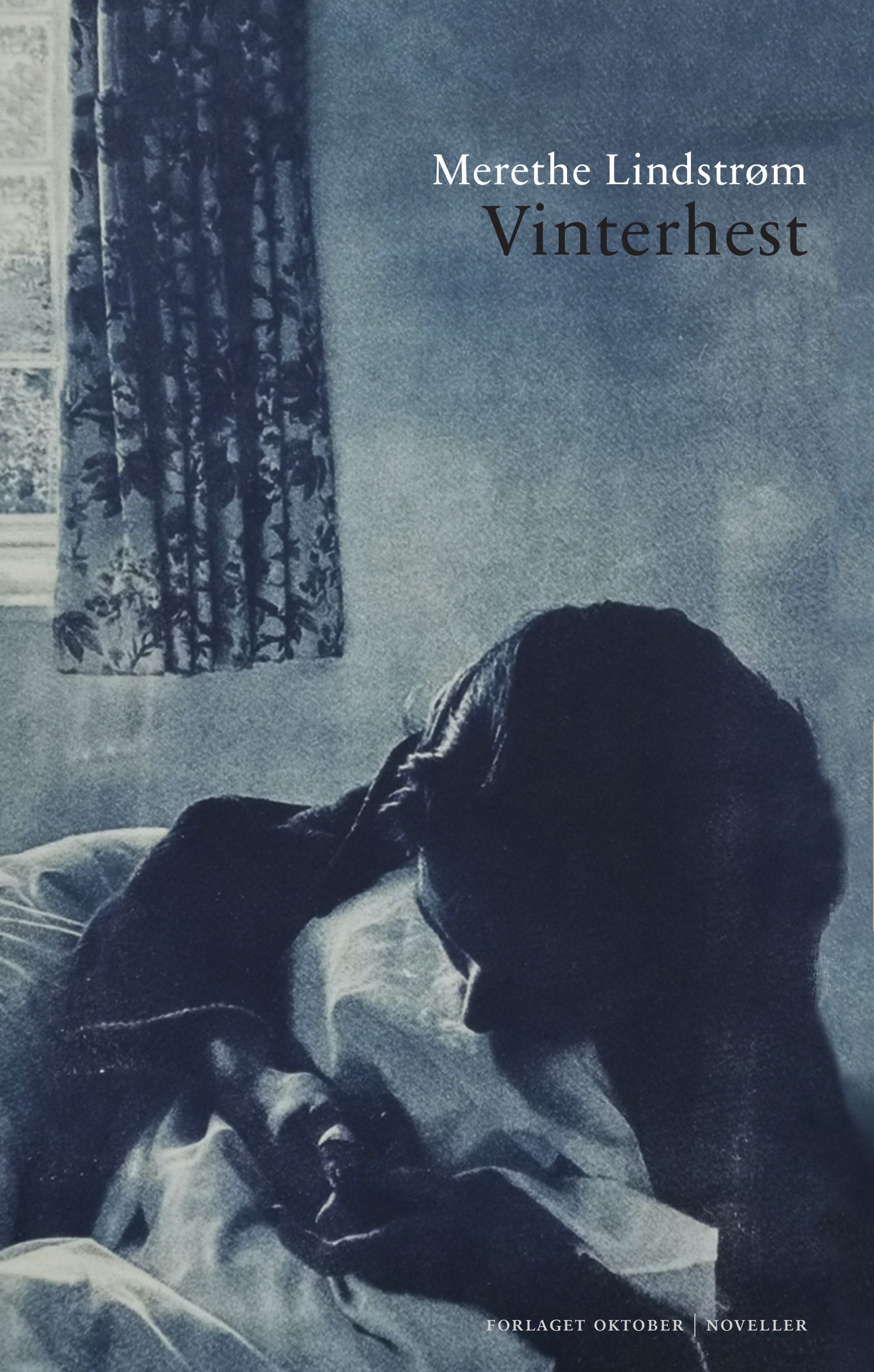 Vinterhest - noveller