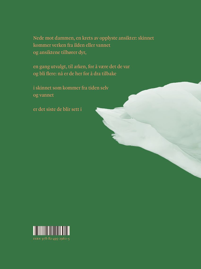 Vann og våkne dyr