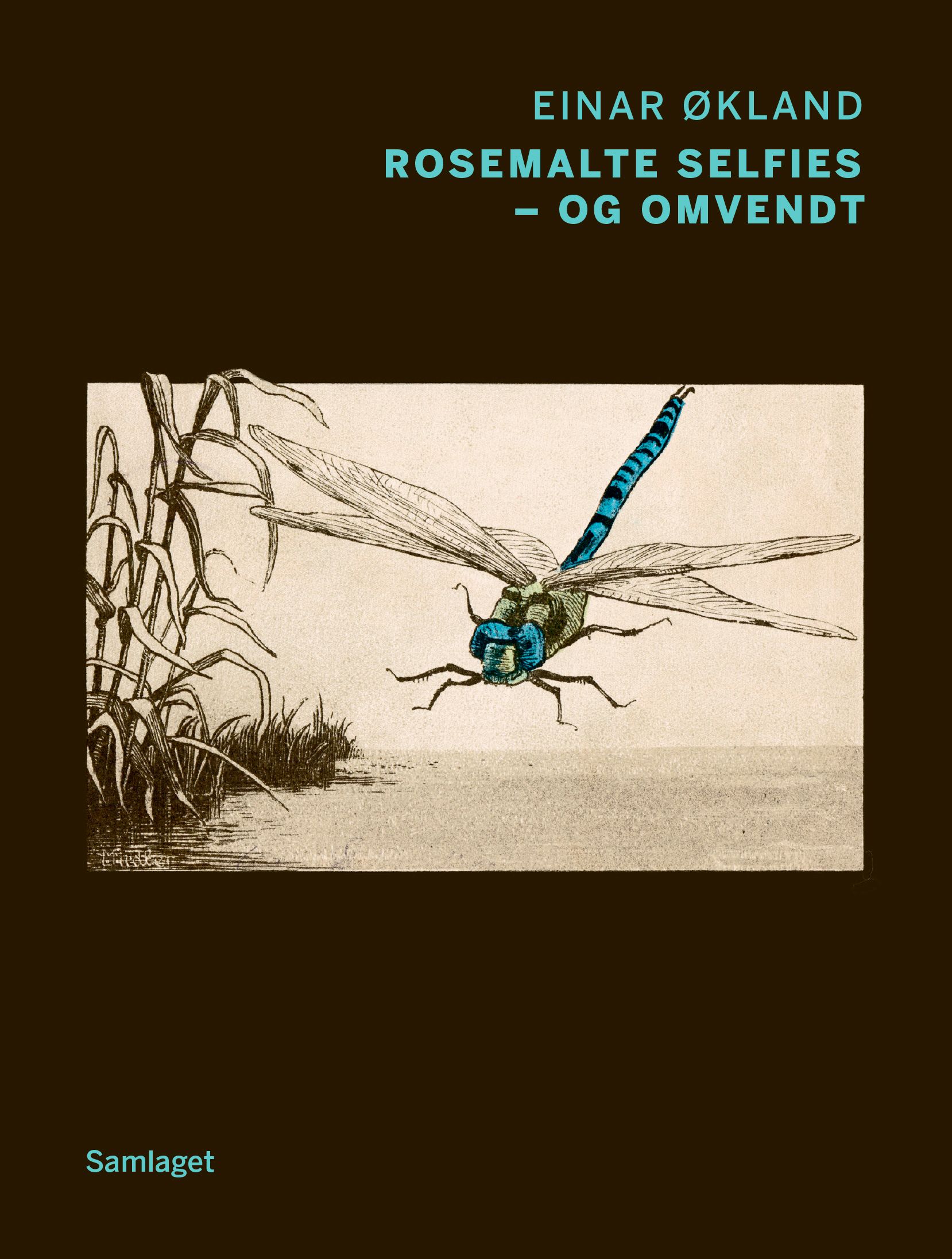 Rosemalte selfies - og omvendt - dikt