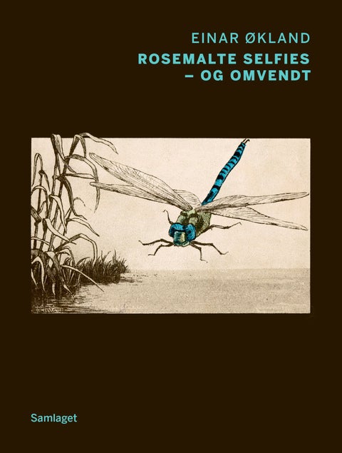 Rosemalte selfies - og omvendt - dikt