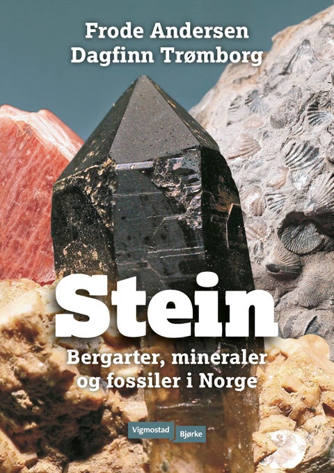 Stein - bergarter, mineraler, fossiler