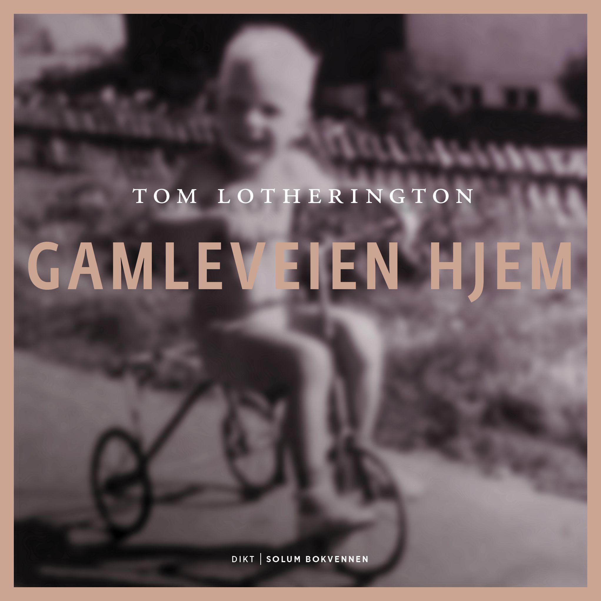 Gamleveien hjem - og andre dikt : dikt og tekster