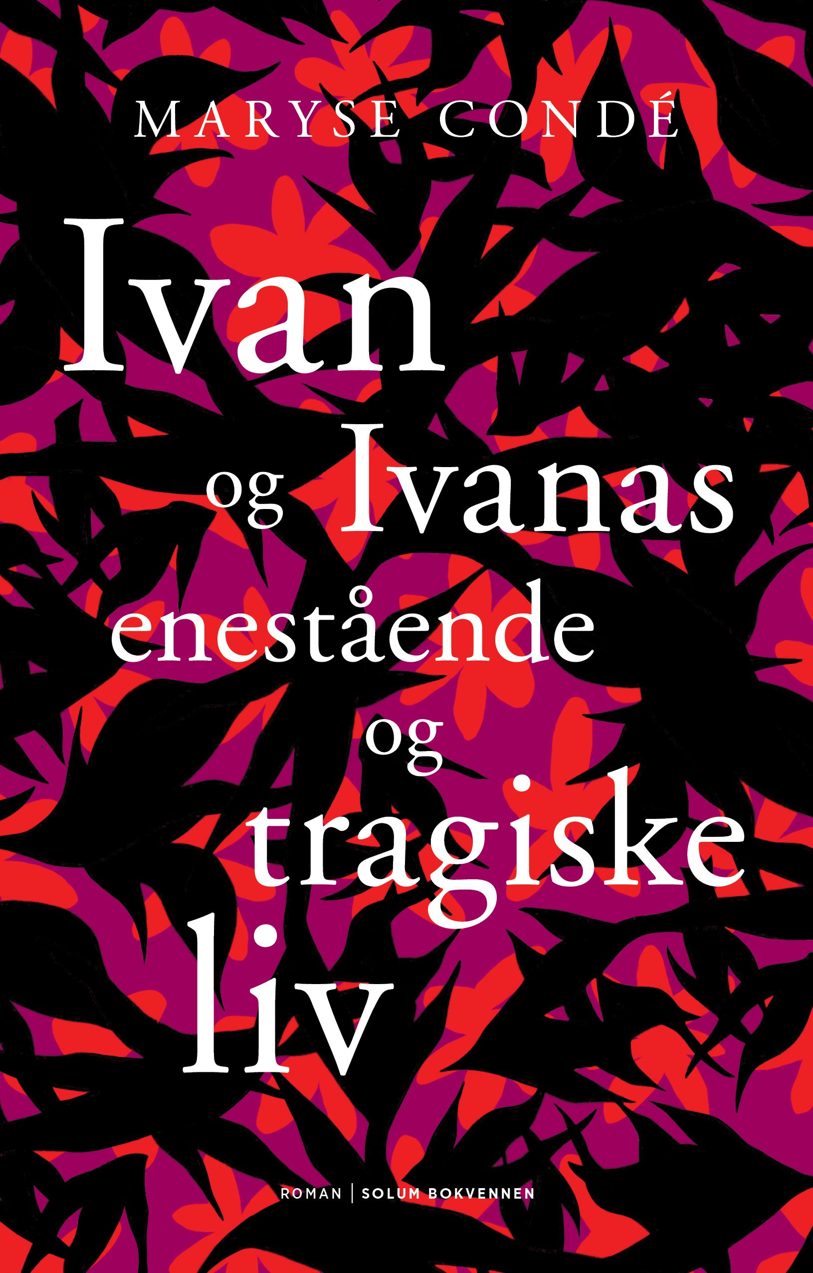 Ivan og Ivanas enestående og tragiske liv - roman