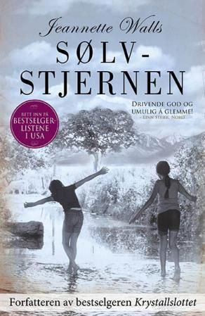 Sølvstjernen - en roman