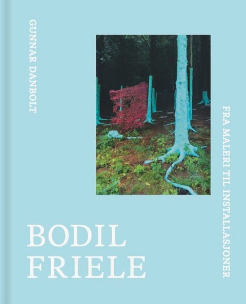 Bodil Friele - fra maleri til installasjoner
