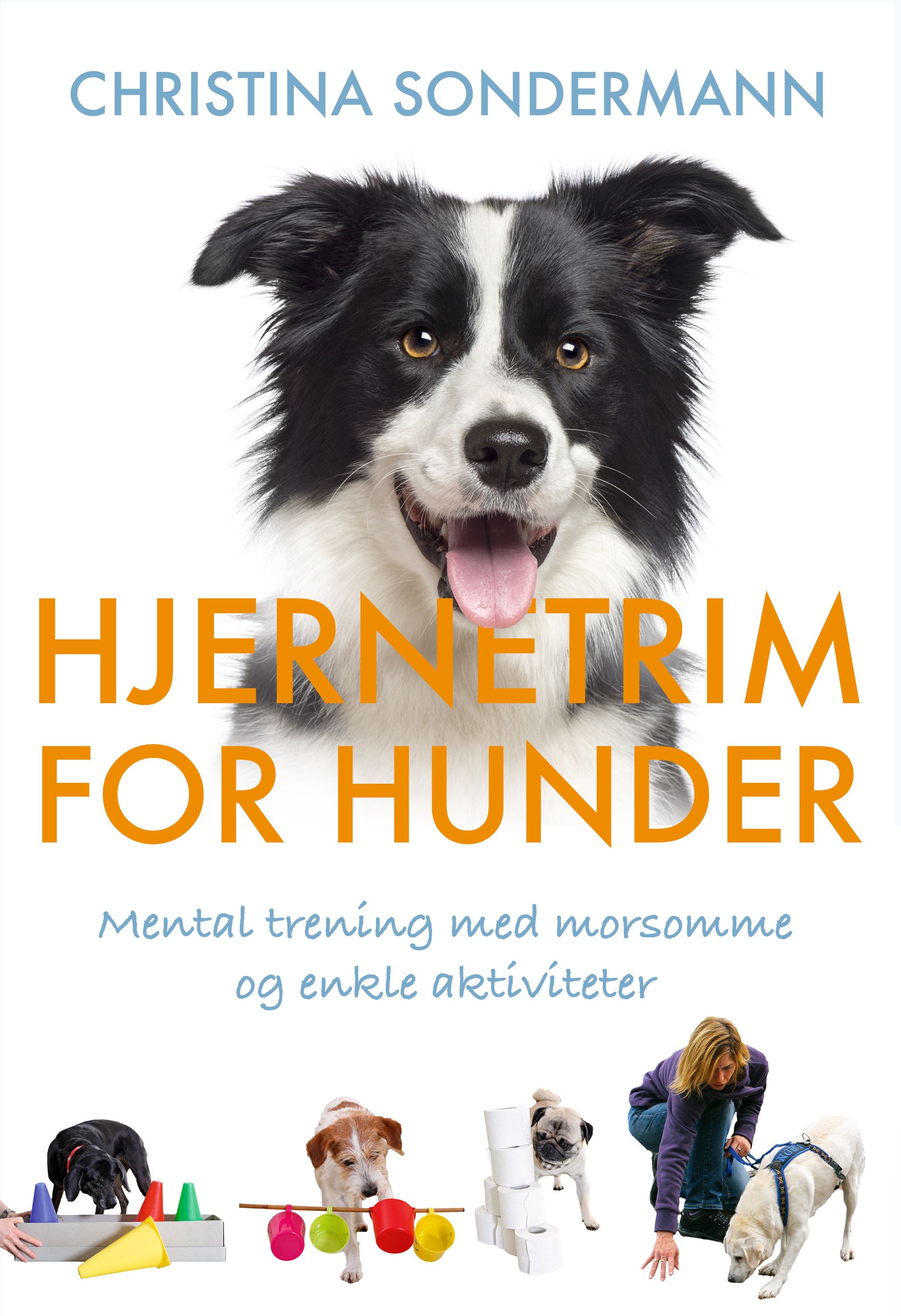 Hjernetrim for hunder - mental trening med morsomme og enkle aktiviteter