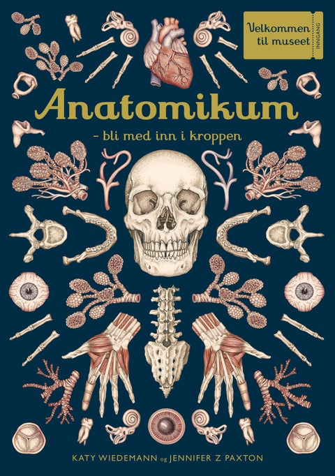 Anatomikum - bli med inn i kroppen