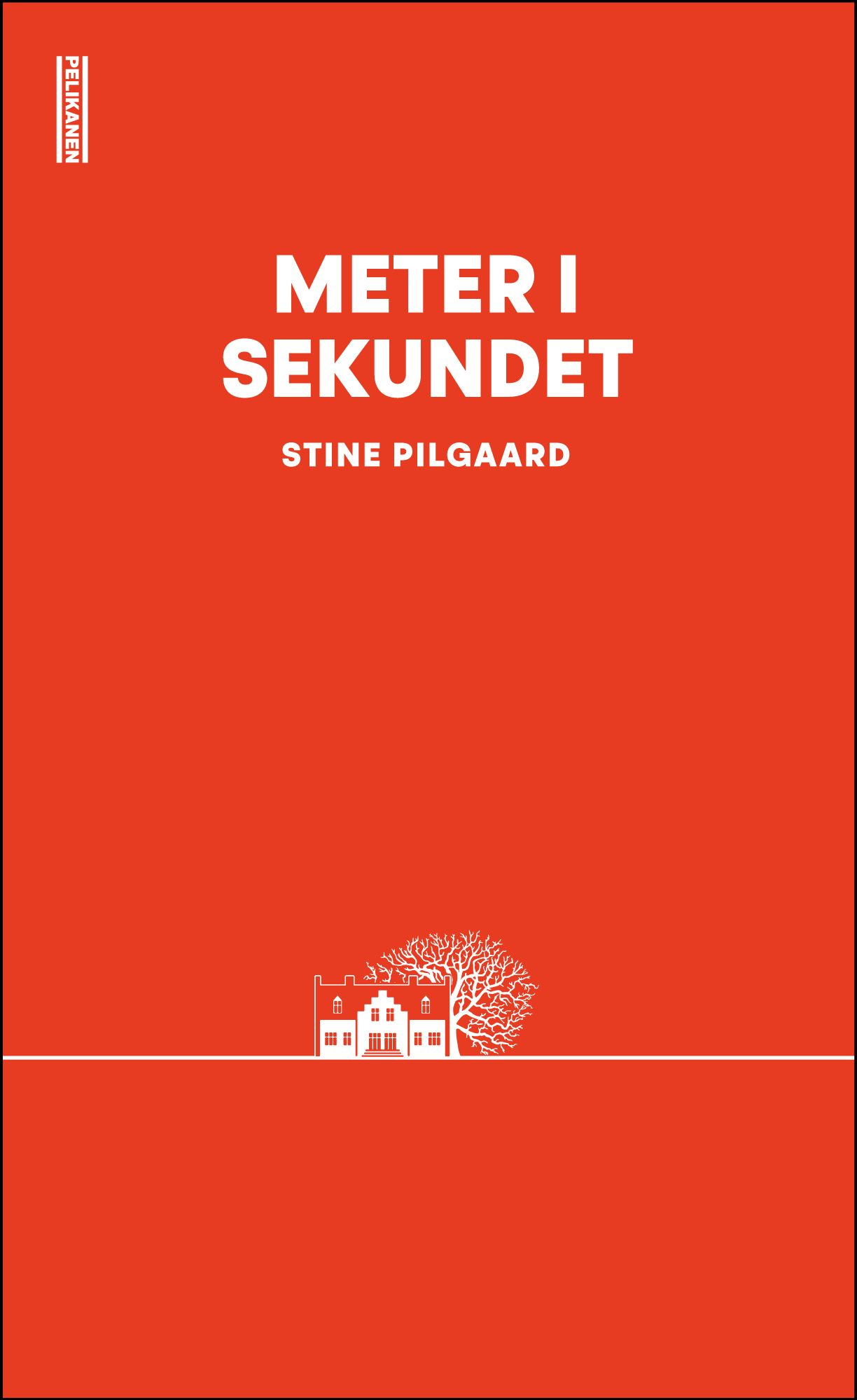 Meter i sekundet - roman