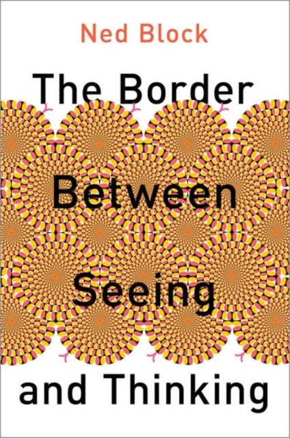 The Border Between Seeing and Thinking - A Chronical of 500 Days