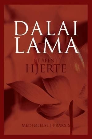 Et åpent hjerte - medfølelse i praksis