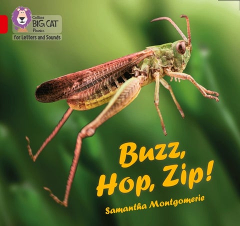 Buzz, Hop, Zip! - Band 02a/Red a