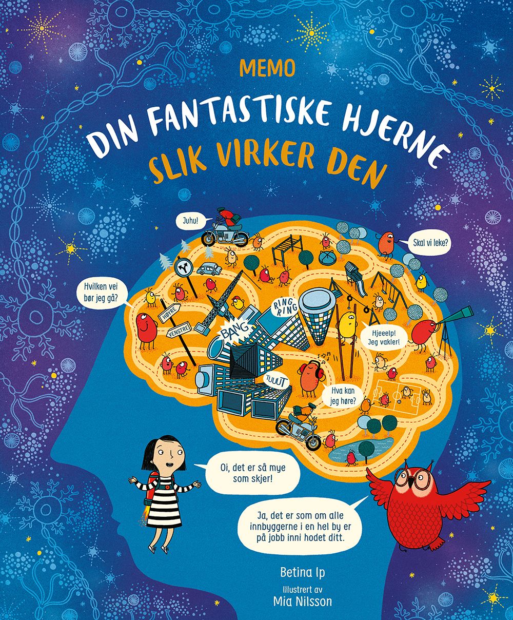 Din fantastiske hjerne - slik virker den