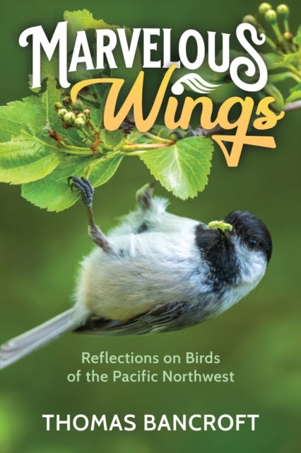 Marvelous Wings - Reflections on Birds of the Pacific Northwest
