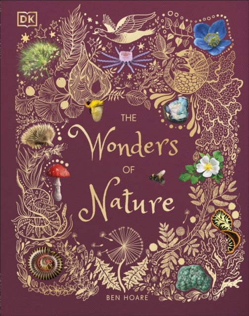 The Wonders of Nature - Discover the Incredible Stories of the Natural World