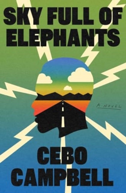 Sky Full of Elephants - A Novel