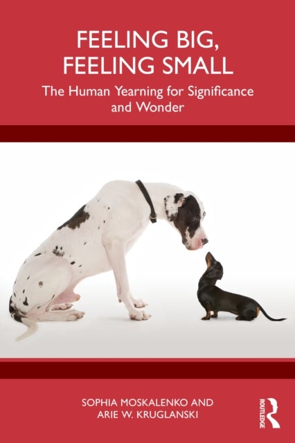 Feeling Big, Feeling Small - The Human Yearning for Significance and Wonder