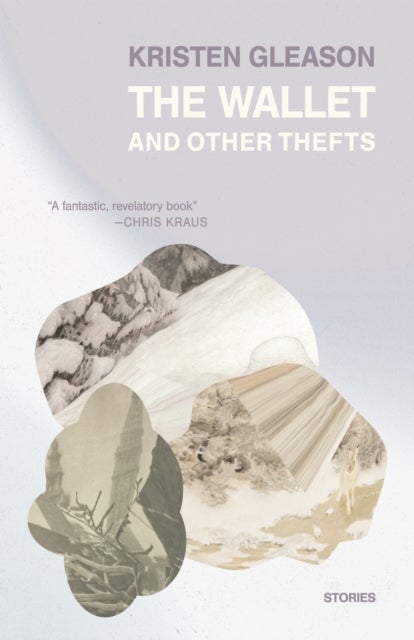 The Wallet and Other Thefts - Stories