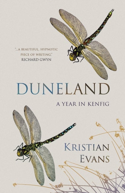 Duneland - A Year in Kenfig