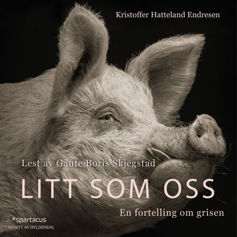 Litt som oss - en fortelling om grisen