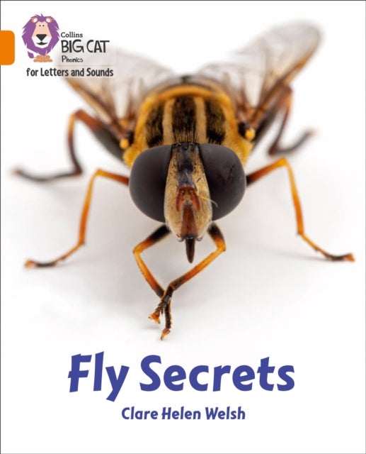 Fly Secrets - Band 06/Orange