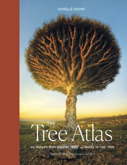 Lonely Planet The Tree Atlas - 50 Magnificent Species Across the Planet , Practical Travel Advice to See Each Natural Wonder , Exquisite Photography & Illustrations
