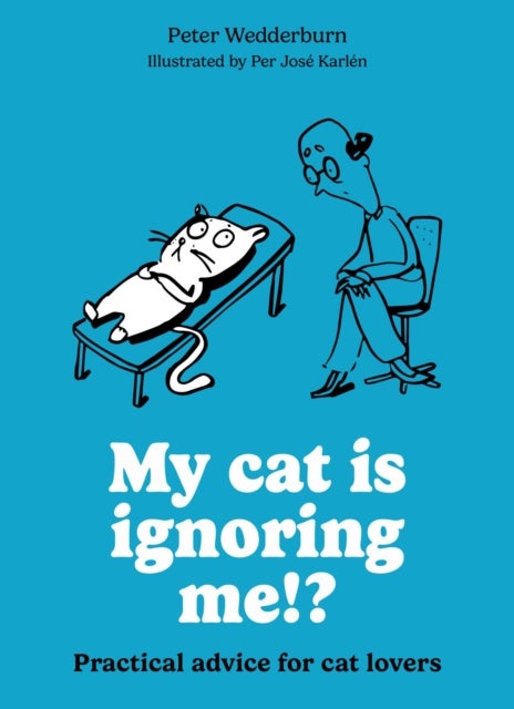 My cat is ignoring me!? - Practical advice for cat lovers