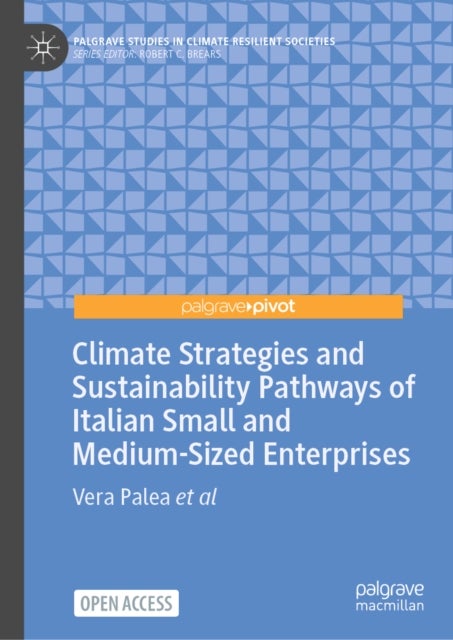 Climate Strategies and Sustainability Pathways of Italian Small and Medium-Sized Enterprises