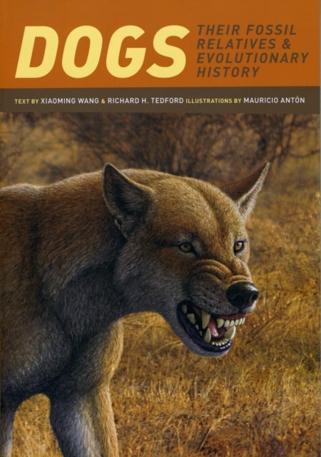 Dogs - Their Fossil Relatives and Evolutionary History
