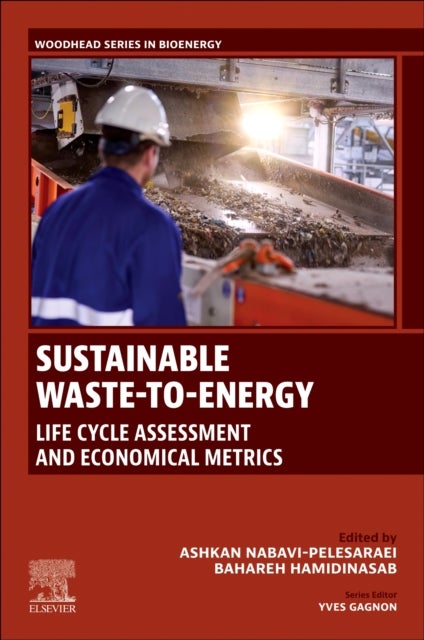 Sustainable Waste-to-Energy - Life Cycle Assessment and Economical Metrics