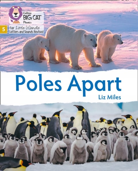 Poles Apart - Phase 5 Set 5