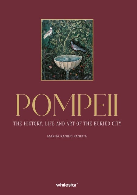Pompeii - The History, Life, and Art of the Buried City