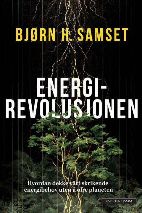Energirevolusjonen - hvordan dekke vårt skrikende energibehov uten å ofre planeten