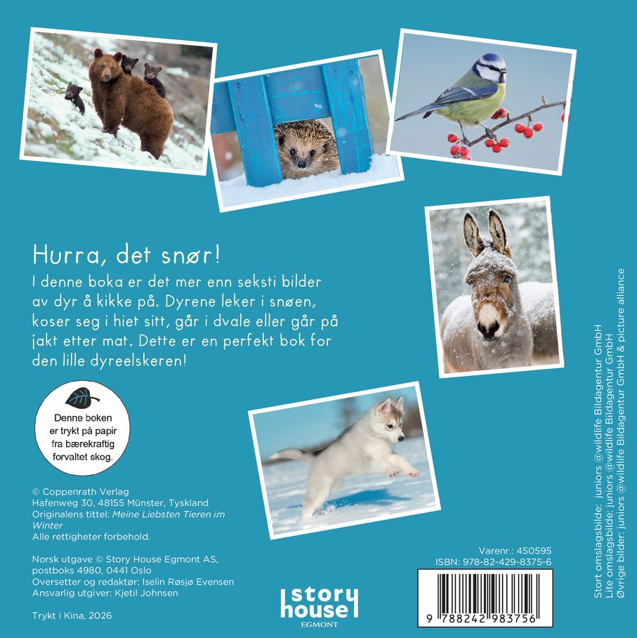 De søteste dyrene om vinteren