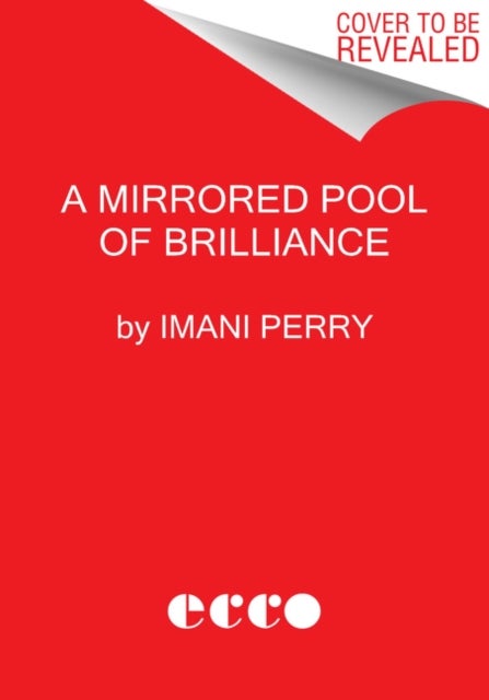 South to America - A Journey Below the Mason-Dixon to Understand the Soul of a Nation