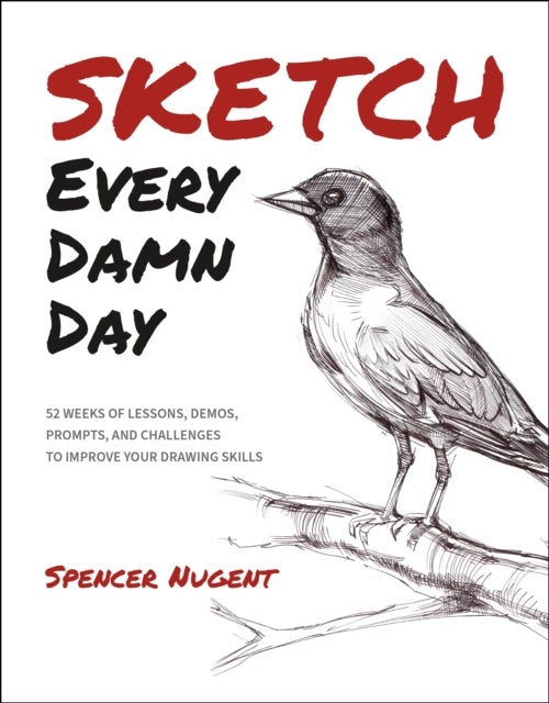 Sketch Every Damn Day - 52 Weeks of Lessons, Demos, Prompts, and Challenges to Improve Your Drawing Skills