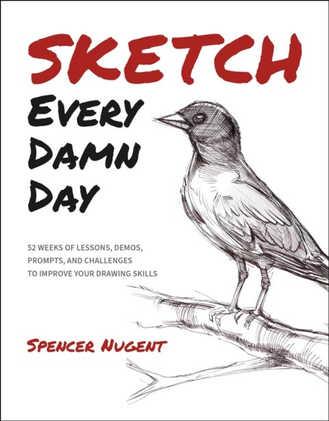 Sketch Every Damn Day - 52 Weeks of Lessons, Demos, Prompts, and Challenges to Improve Your Drawing Skills