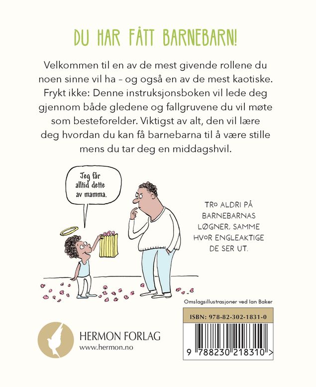 Den lille instruksjonsboken for besteforeldre
