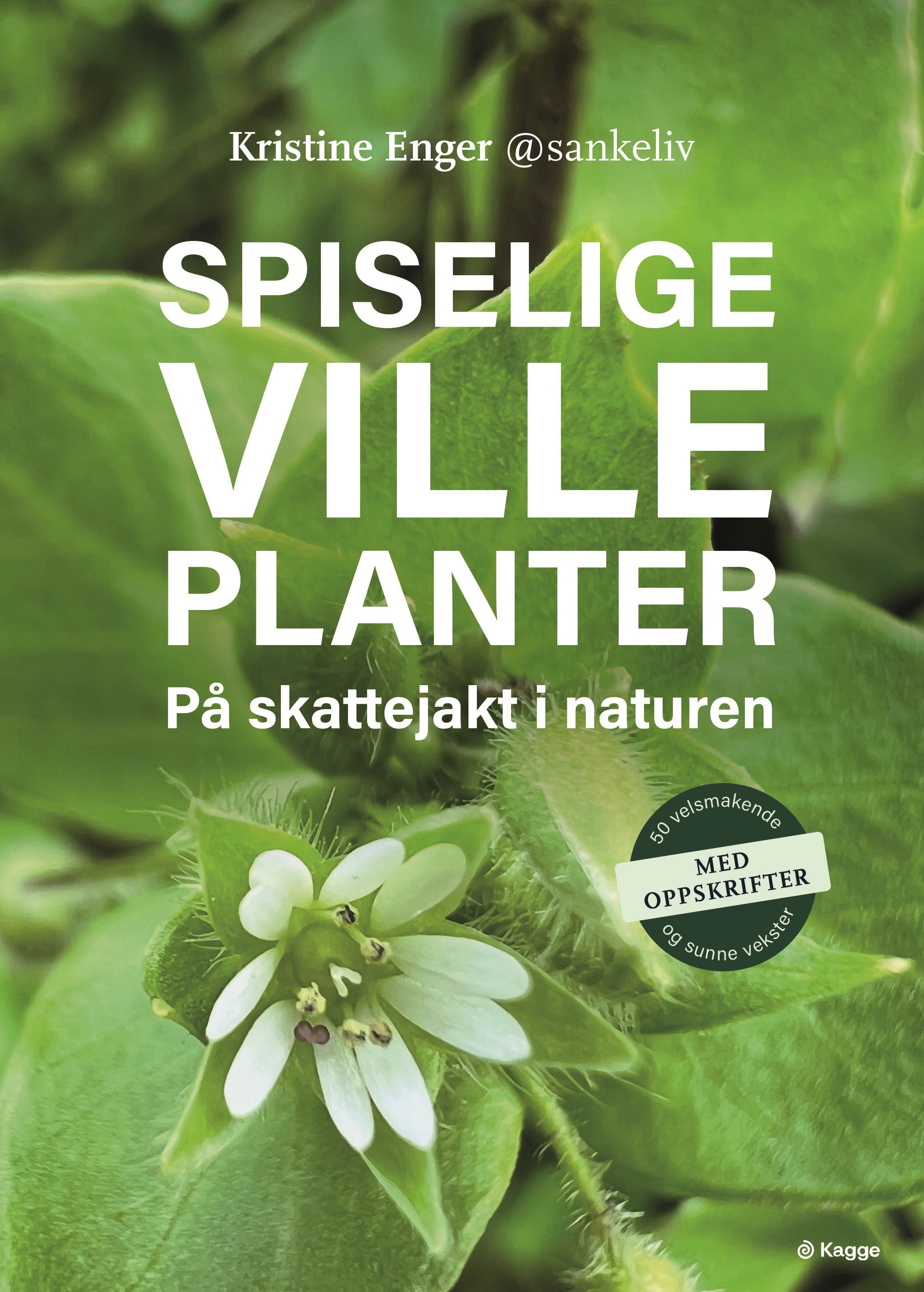 Spiselige ville planter - på skattejakt i naturen : 50 velsmakende og sunne vekster – med oppskrifter