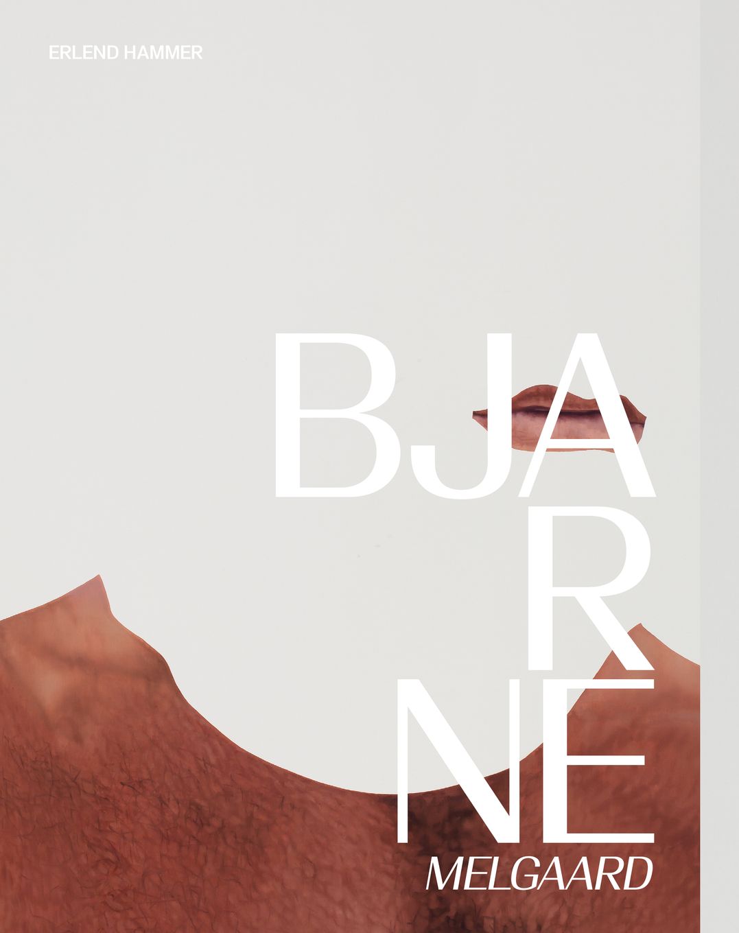 Bjarne Melgaard