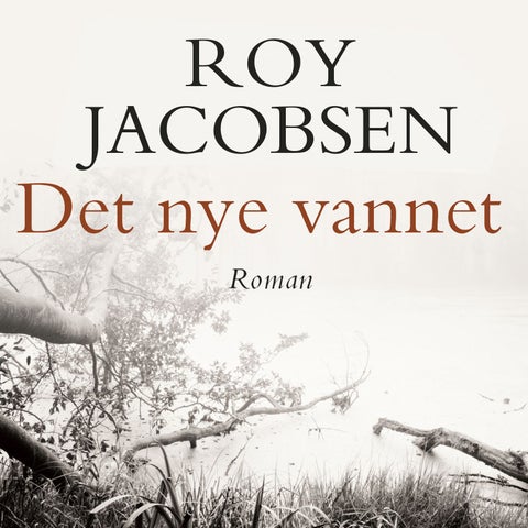 Det nye vannet