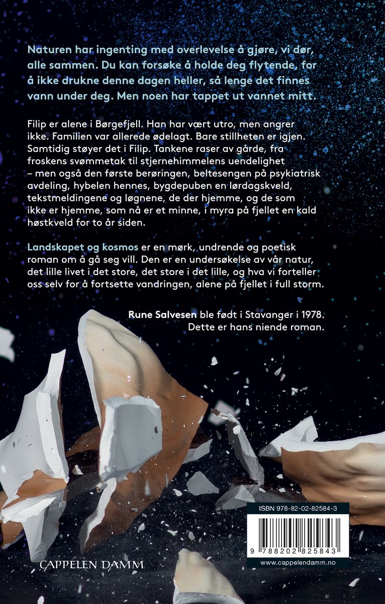 Landskapet og kosmos